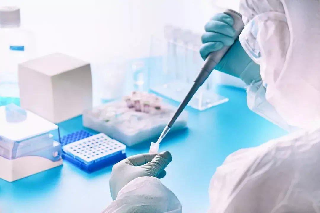 Lab technician analyzing a swab sample for mold species